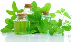 Эффективное лечение цистита при помощи народных средств